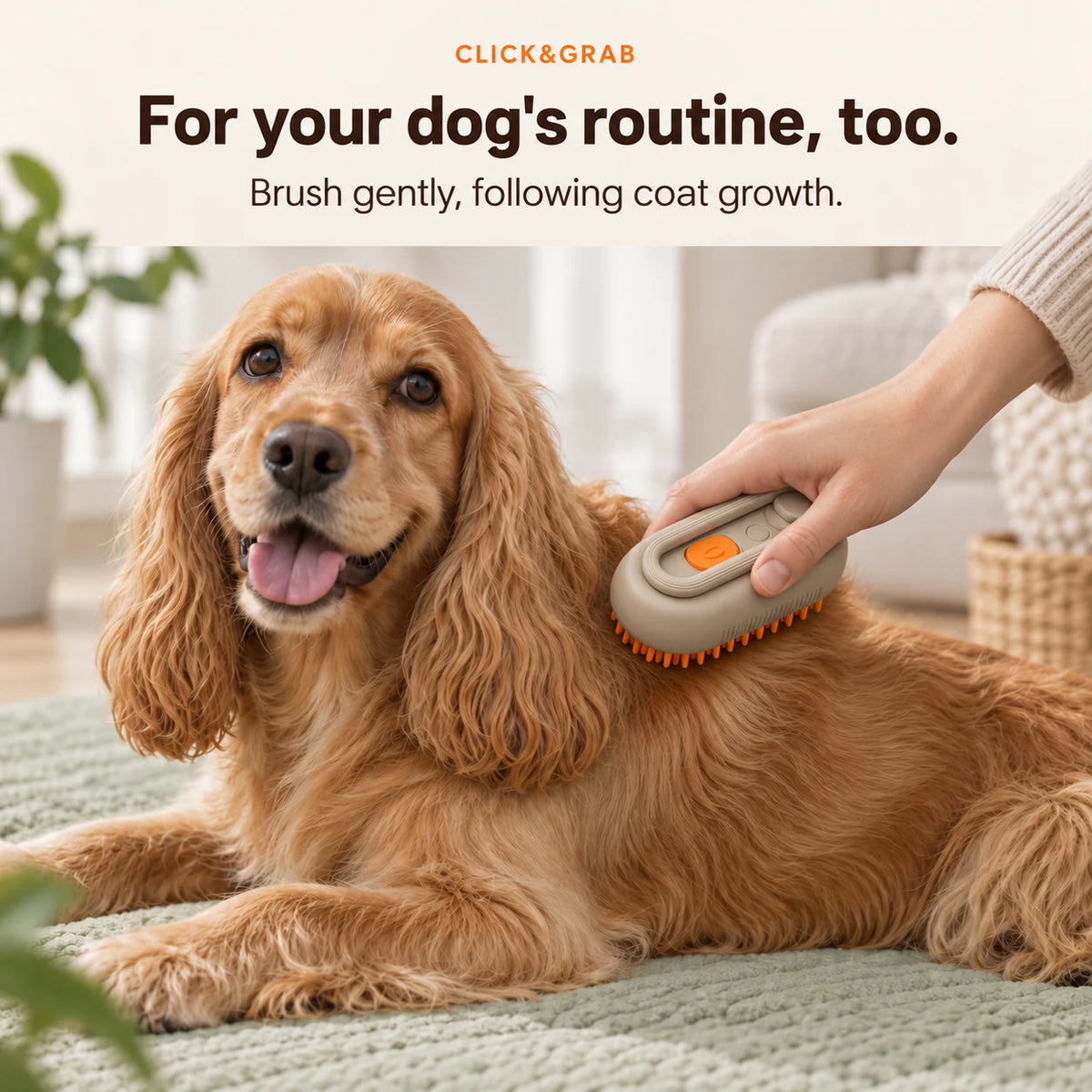 CLICK&GRAB Steam Mist Grooming Brush